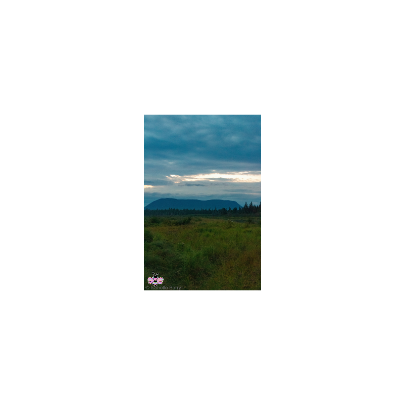 Blue Mountain Weather