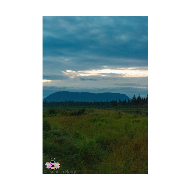 Blue Mountain Weather