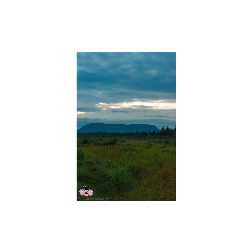 Blue Mountain Weather