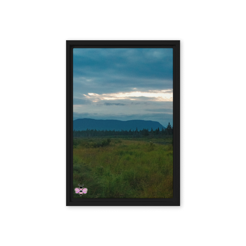 Blue Mountain Weather