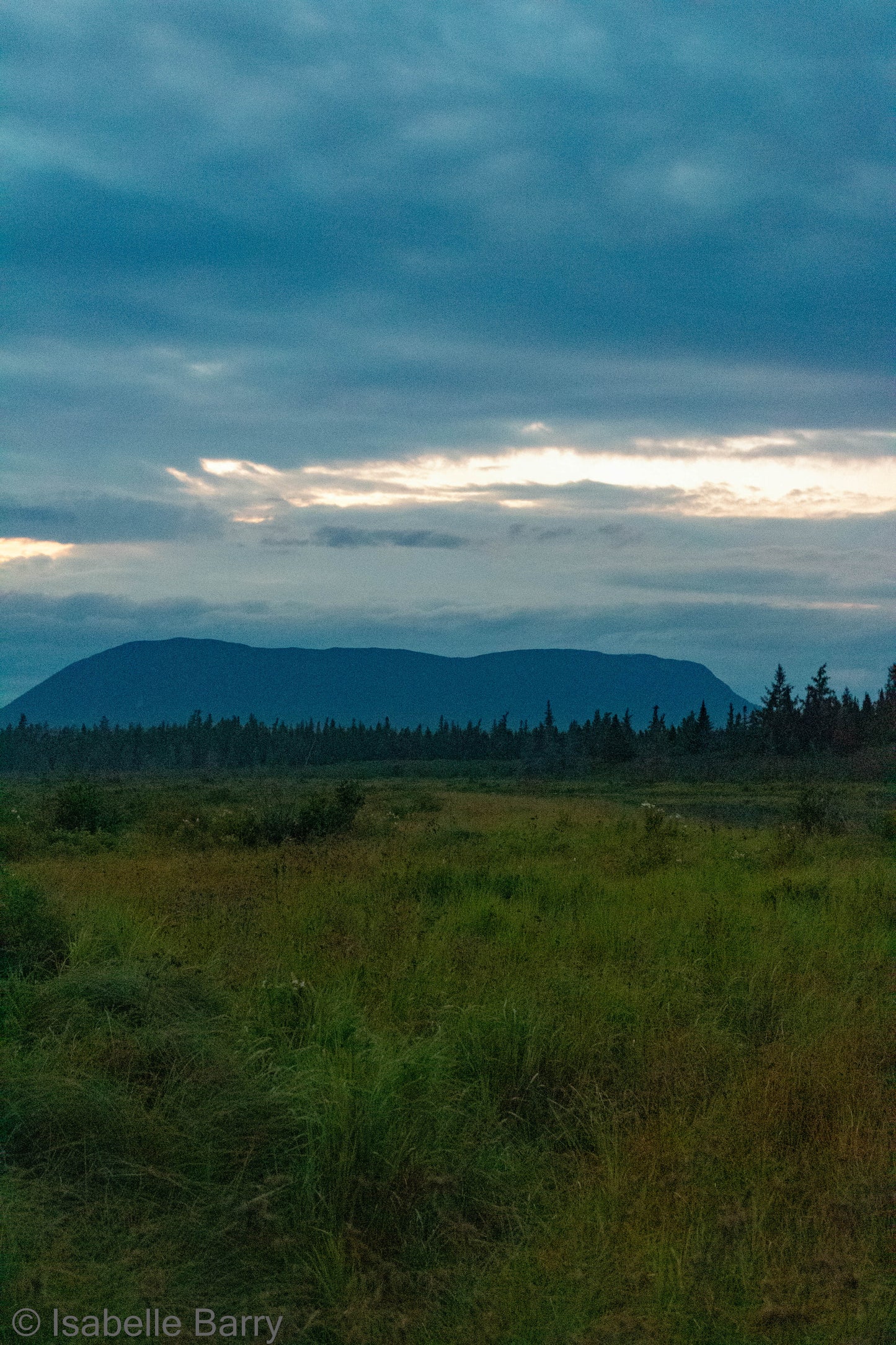 Blue Mountain Weather