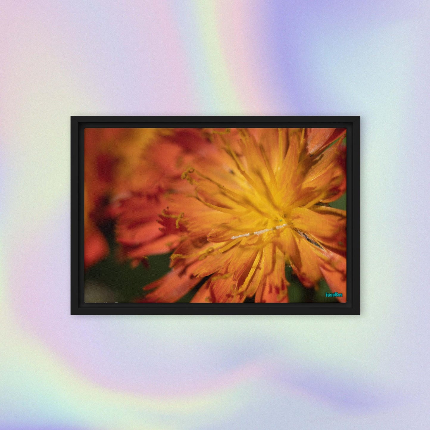 "Gentle Sunset" - 12" by 18" Wood Framed IszyBee Photograph on Canvas