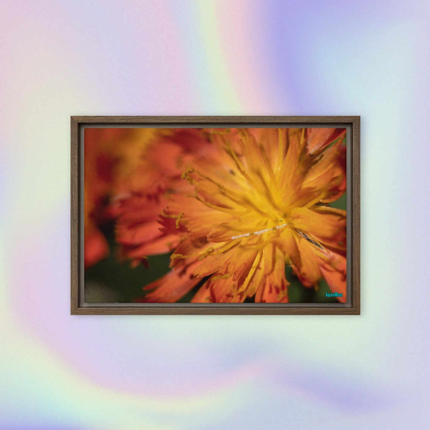 "Gentle Sunset" - 12" by 18" Wood Framed IszyBee Photograph on Canvas
