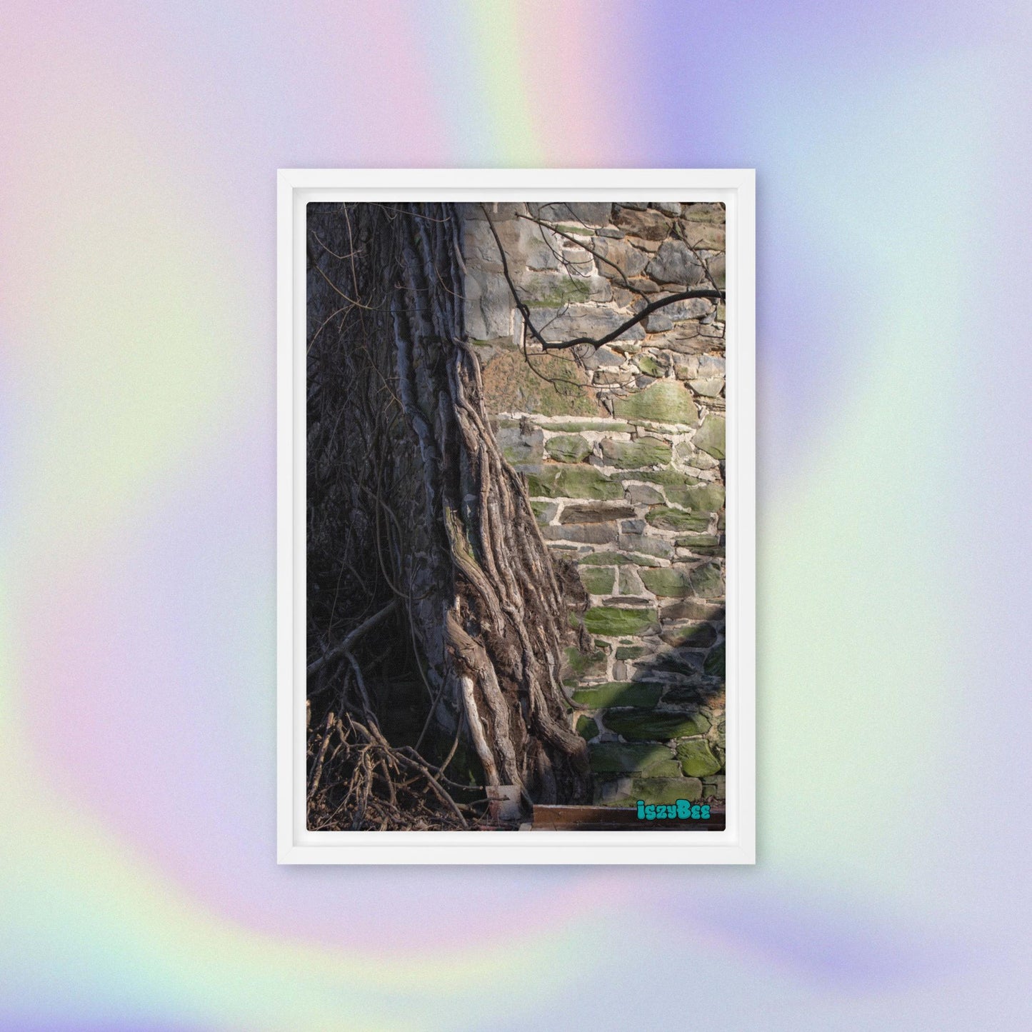 "Corner Vines" - 12" by 18" Wood Framed IszyBee Photograph on Canvas