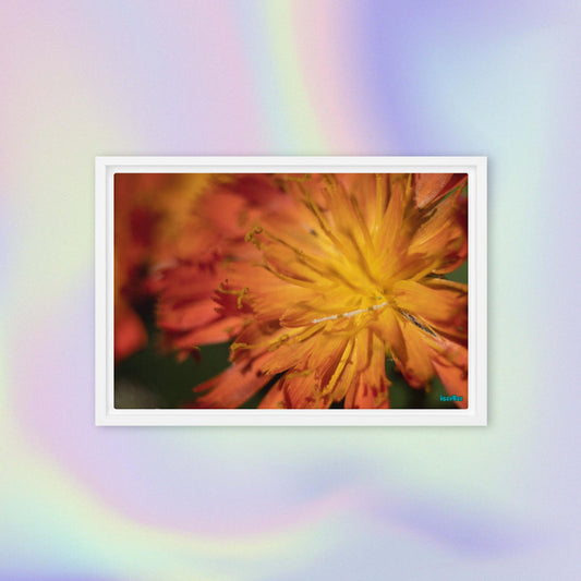 "Gentle Sunset" - 12" by 18" Wood Framed IszyBee Photograph on Canvas