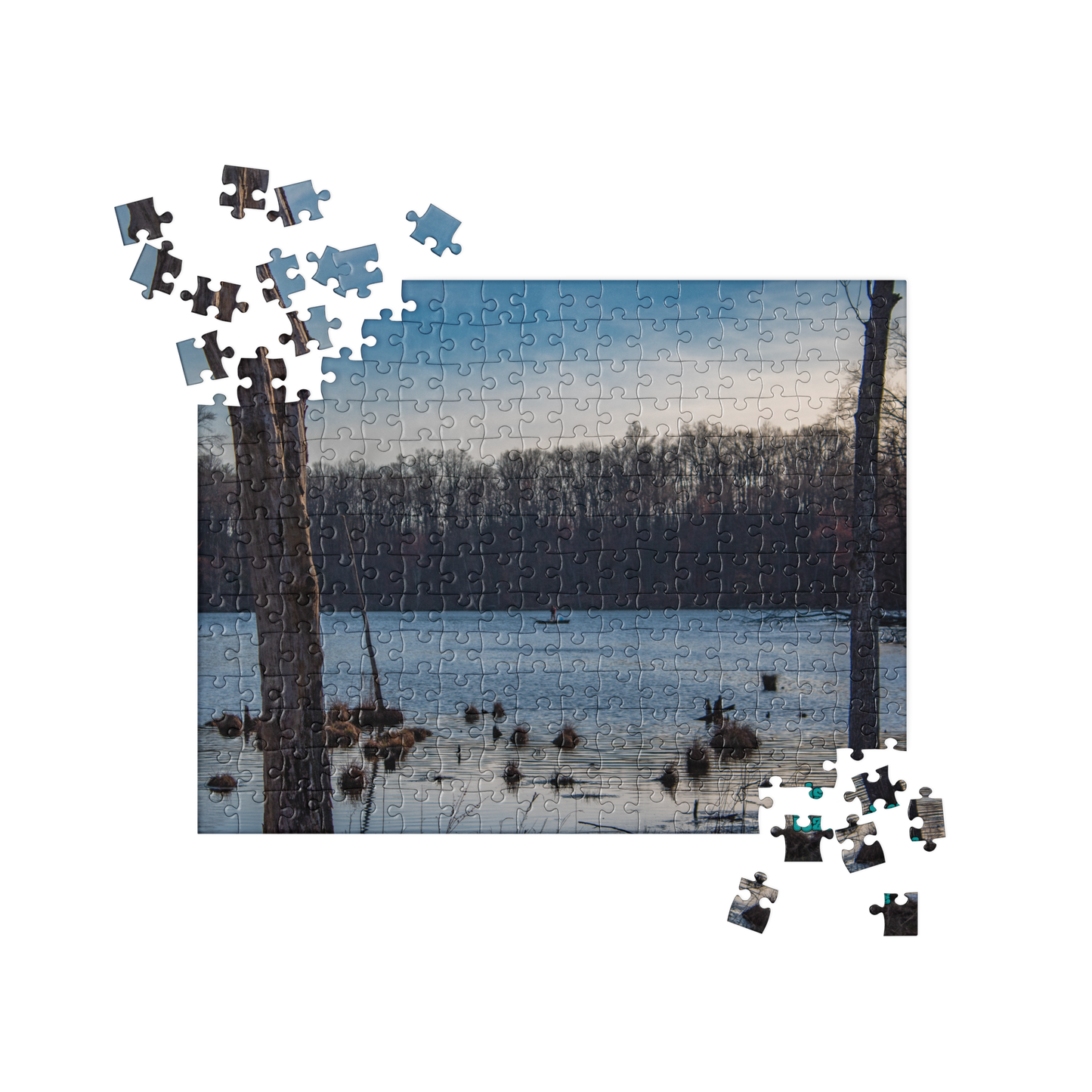 "Shallow Waters" - Jigsaw puzzle