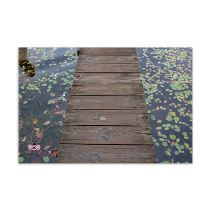 Still Water, Worn Boards