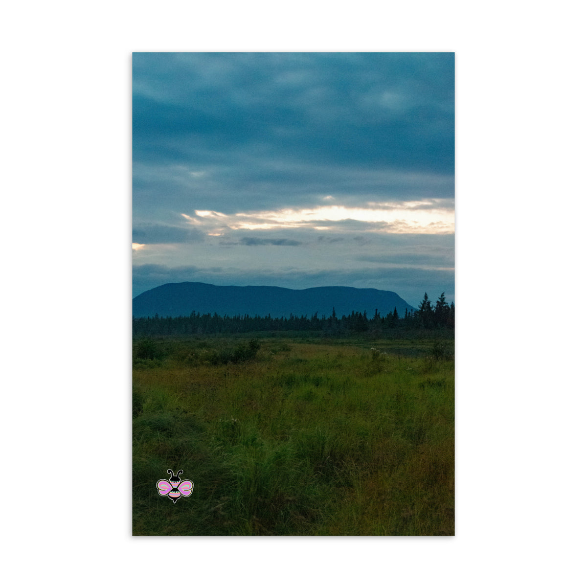 Blue Mountain Weather