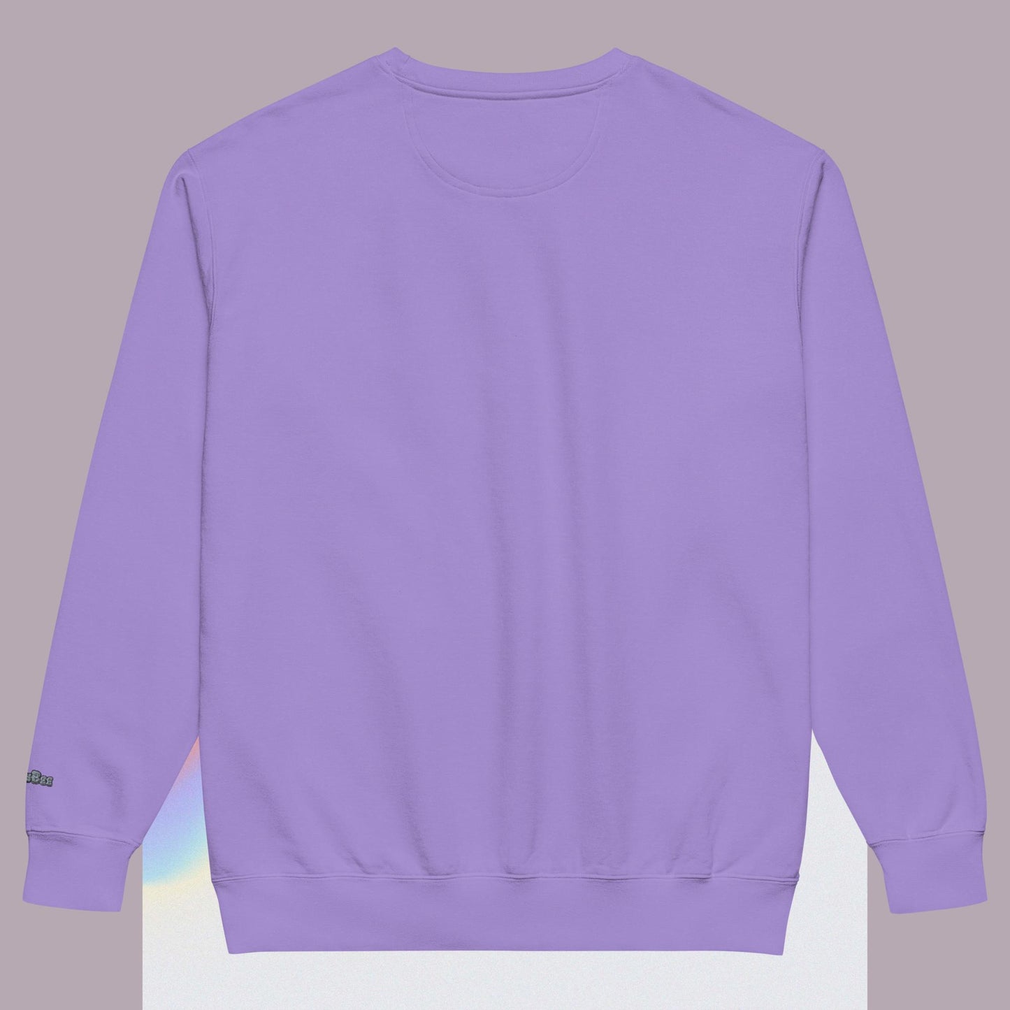 Cartoon Bird Doctor garment-dyed sweatshirt